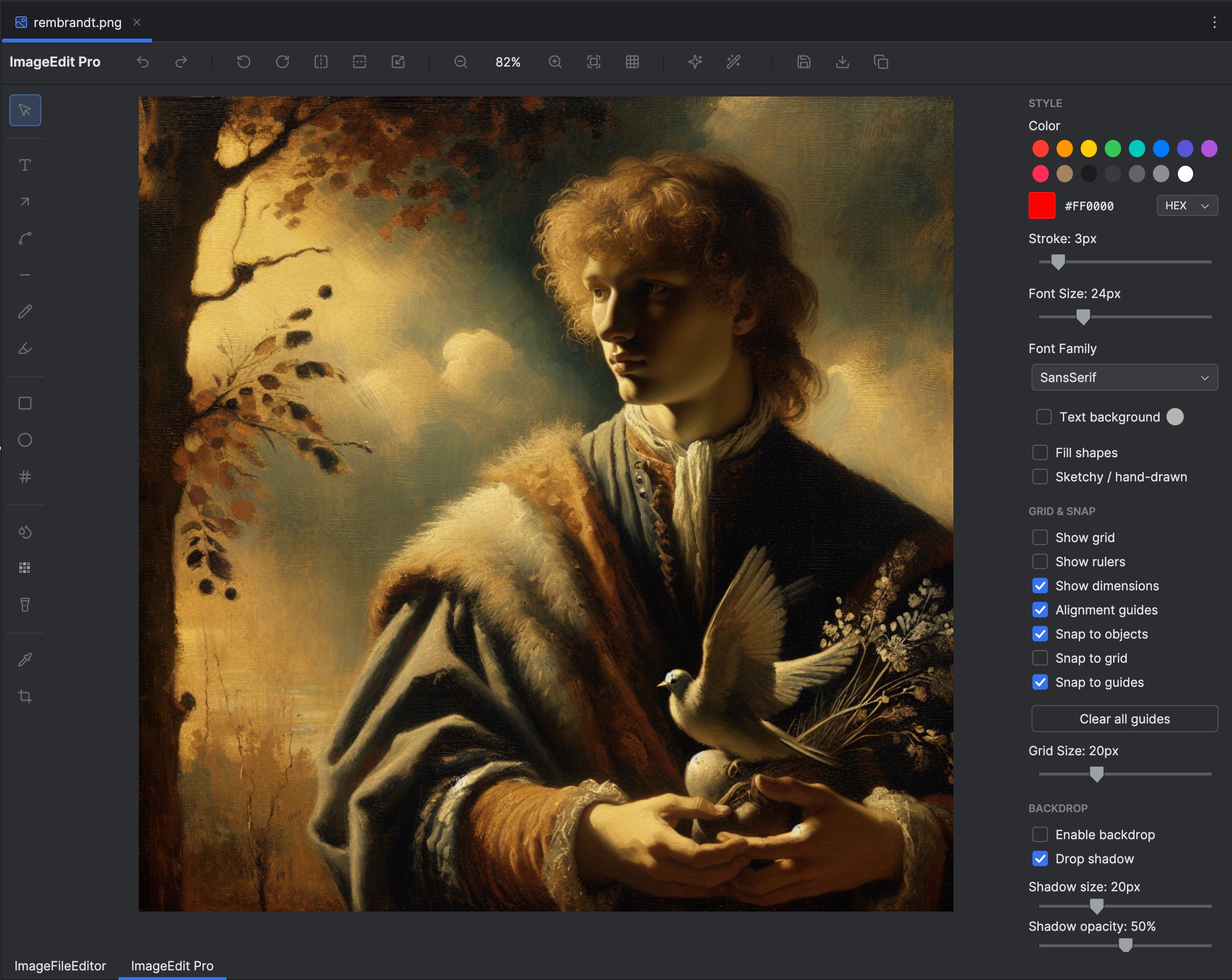 ImageEdit Pro in action